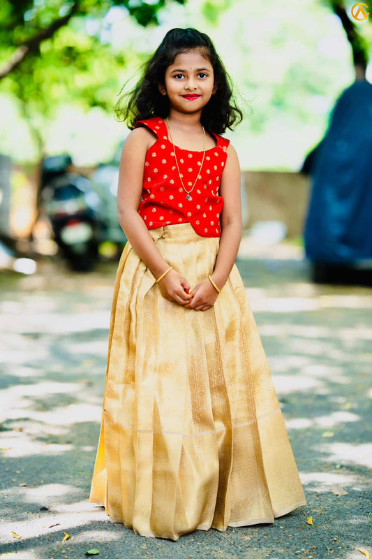 Festive Gold Tissue and Red Lehenga Set