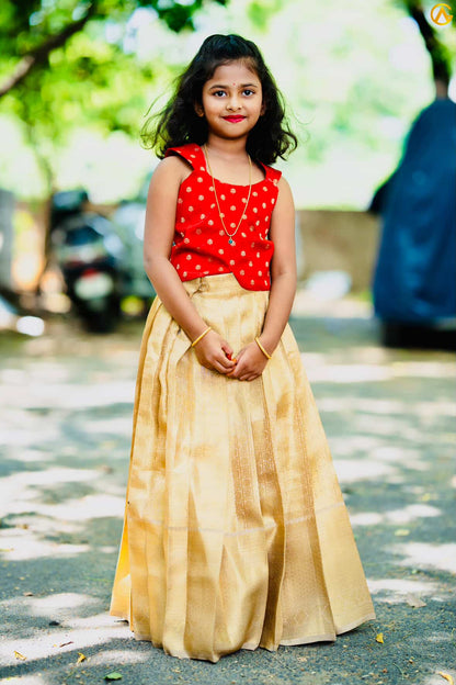 Festive Gold Tissue and Red Lehenga Set