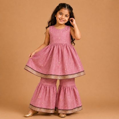 Blush Pink Narayanpet Sharara Set