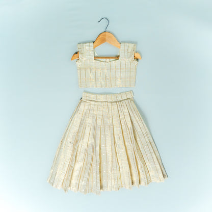 Classic Checkered  Lehenga Set